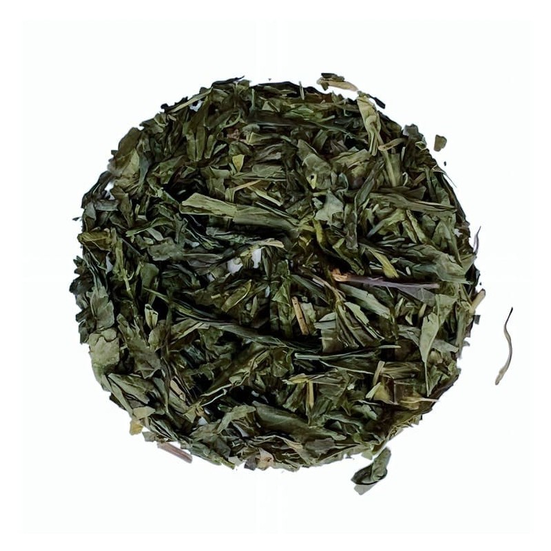 Té verde sencha ecológico